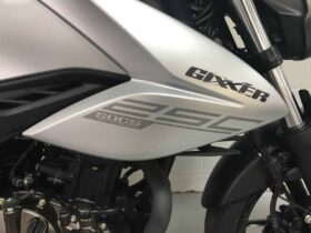 2020 Suzuki GSX-R250R