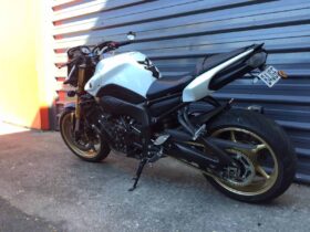 2010 Yamaha FZ8N