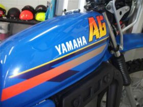 2016 Yamaha AG100