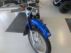 2021 Yamaha AG200