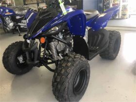 2021 Yamaha Raptor 90 (YFM90R)