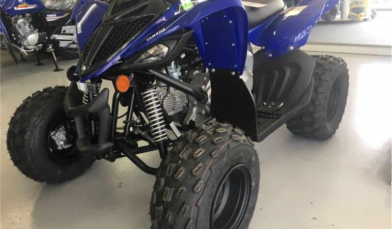 
								2021 Yamaha Raptor 90 (YFM90R) full									
