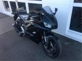 2021 Yamaha YZF-R3