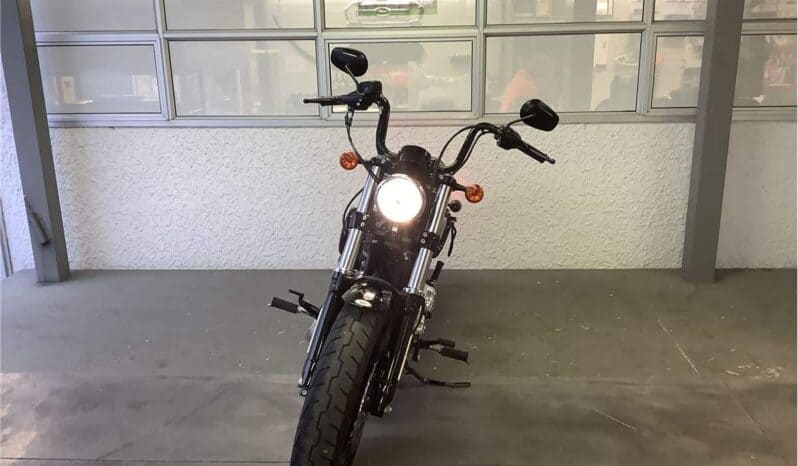 
								2019 Harley-Davidson Forty-Eight Special (XL1200XS) full									