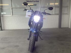 2021 Suzuki GSX250R