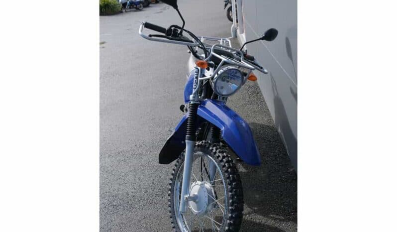 
								2021 Yamaha AG125 full									