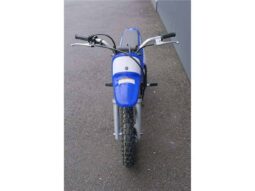 
										2021 Yamaha PeeWee 50 (PW50) full									