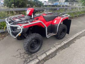 2019 Honda TRX500FM6