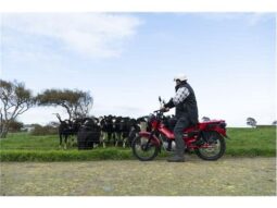 
										2021 Honda CT125 full									