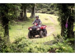 
										2020 Honda TRX520FA6 full									