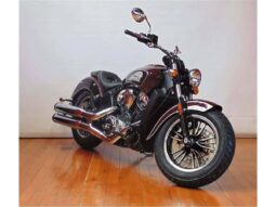 
										2021 Indian Scout full									