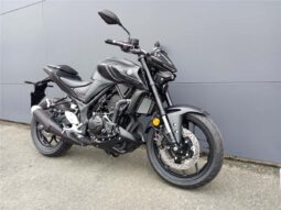 
										2021 Yamaha MT-03 ABS 321 (MT03LA) full									