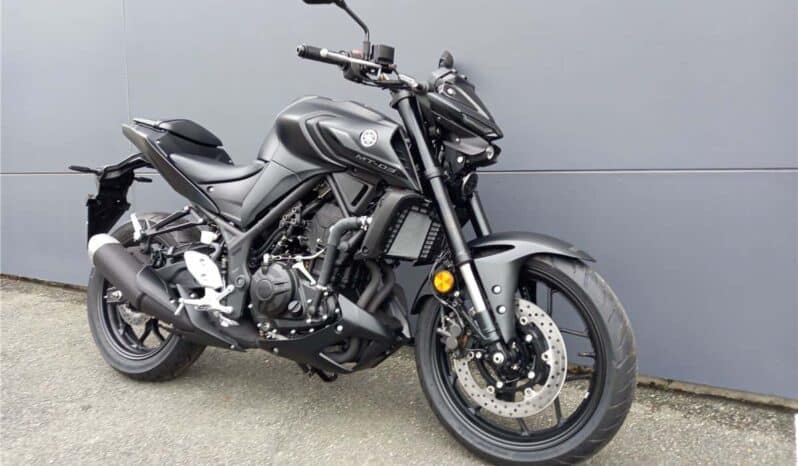 
								2021 Yamaha MT-03 ABS 321 (MT03LA) full									