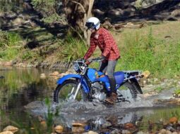 
										2021 Yamaha AG200 full									