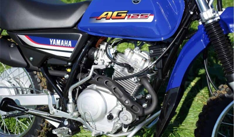 
								2021 Yamaha AG125 full									