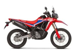 
										2021 Honda CRF300 Rally full									