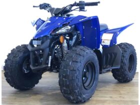 2022 Yamaha YFZ50