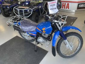 2021 Yamaha AG200