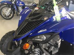 
										2021 Yamaha Raptor 90 (YFM90R) full									