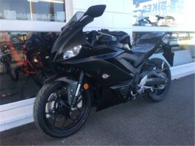 2021 Yamaha YZF-R3
