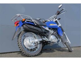 2021 Yamaha AG125
