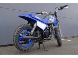 
										2021 Yamaha PeeWee 50 (PW50) full									