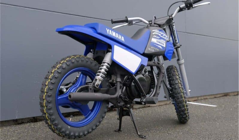 
								2021 Yamaha PeeWee 50 (PW50) full									