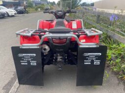 
										2019 Honda TRX500FM6 full									