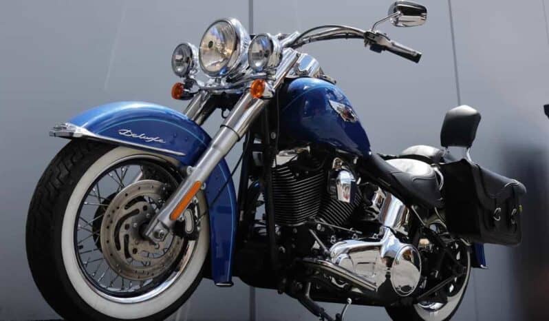 
								2009 Harley-Davidson Softail Deluxe 1584 (FLSTN) full									