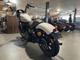 
										2021 Harley-Davidson Iron 1200 (XL1200NS) full									