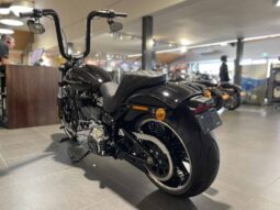 
										2021 Harley-Davidson Breakout 114 (FXBRS) full									
