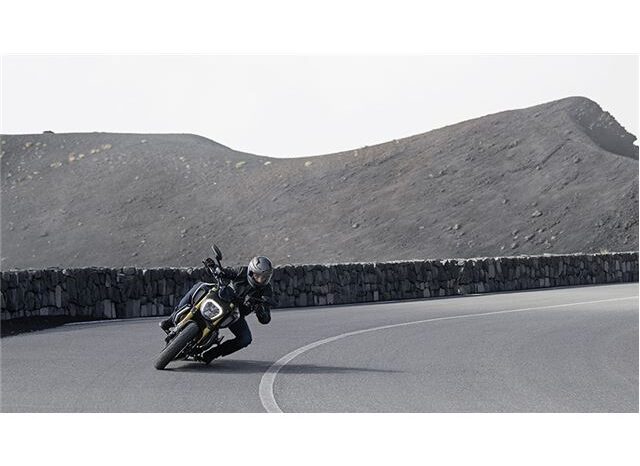
								2021 Ducati Diavel 1260 S full									