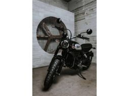 
										2021 Ducati Scrambler ICON Dark full									