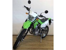 
										2021 Kawasaki KLX230 full									