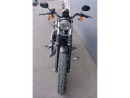 
										2021 Harley-Davidson Iron 883 (XL883N) full									