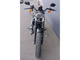 2021 Harley-Davidson Iron 883 (XL883N)
