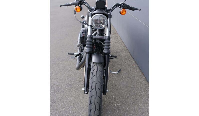 
								2021 Harley-Davidson Iron 883 (XL883N) full									