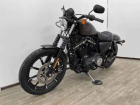 2021 Harley-Davidson Iron 883 (XL883N)