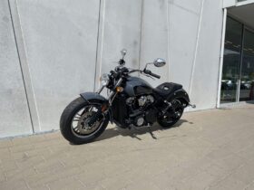 2021 Indian Scout