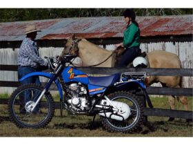 2021 Yamaha AG200