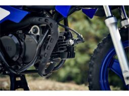 
										2022 Yamaha PeeWee 50 (PW50) full									