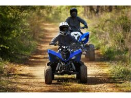 
										2022 Yamaha Raptor 90 (YFM90R) full									