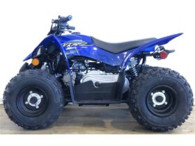 2022 Yamaha YFZ50