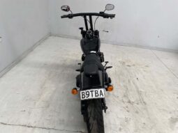 
										2018 Harley-Davidson Fat Bob 114 (FXFBS) full									