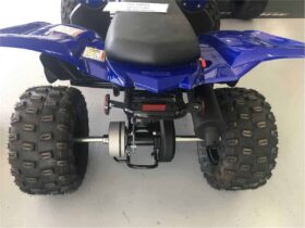 2021 Yamaha Raptor 90 (YFM90R)