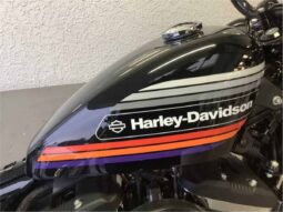 2019 Harley-Davidson Forty-Eight Special (XL1200XS)