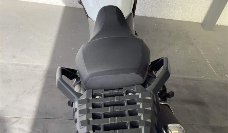 
								2021 Suzuki V-Strom 650 ABS LAMS (DL650AUE) full									