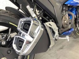 
										2021 Suzuki GSX250R full									