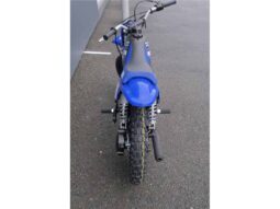 
										2021 Yamaha PeeWee 50 (PW50) full									