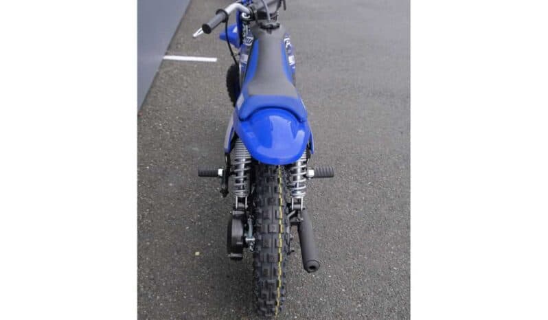 
								2021 Yamaha PeeWee 50 (PW50) full									